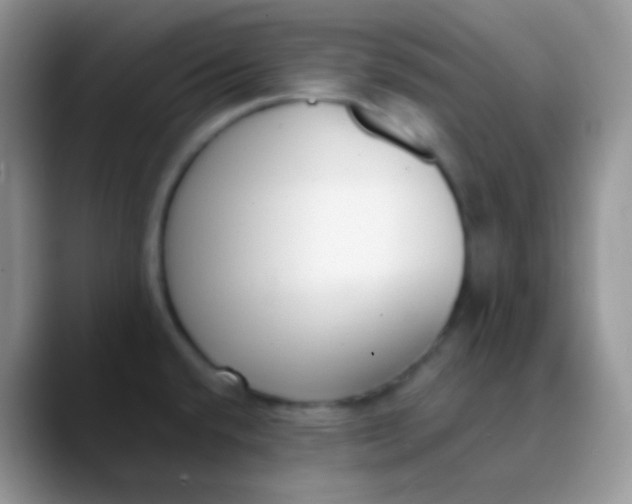 X0000089871432200707191930