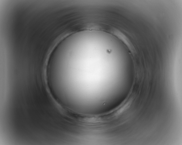 X0000089871434200707191930