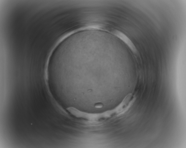 X0000089871436200707191930