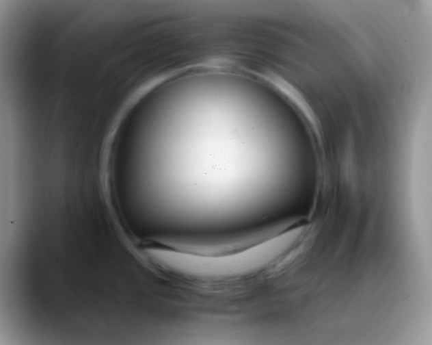 X0000089871437200707191930