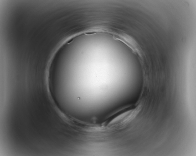 X0000089871438200707191930