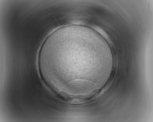 X0000089871439200707191930