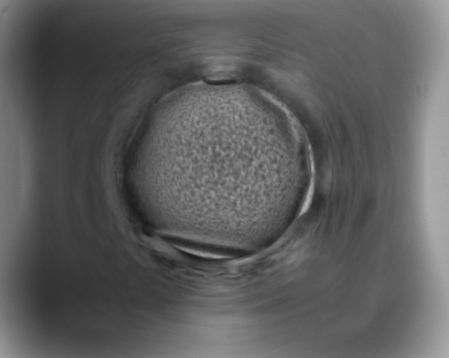 X0000089871441200707191930