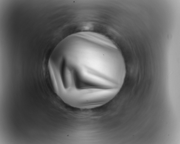 X0000089871442200707191930