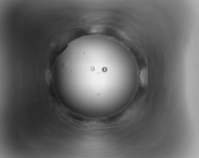 X0000089871443200707191930