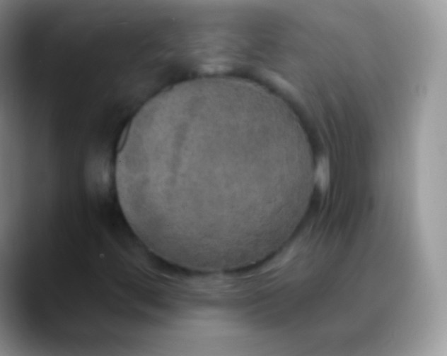 X0000089871444200707191930