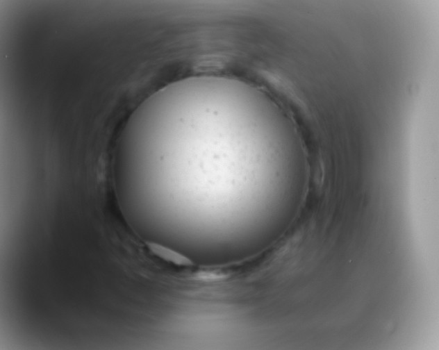 X0000089871445200707191930