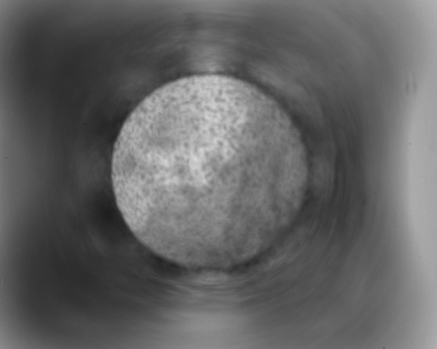 X0000089871446200707191930