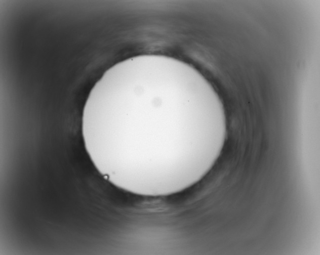 X0000089871447200707191930