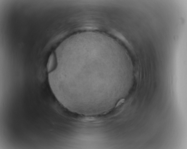 X0000089871448200707191930