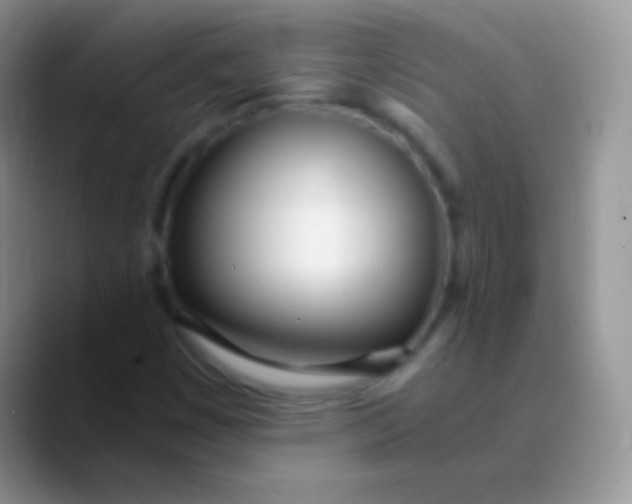 X0000089871449200707191930