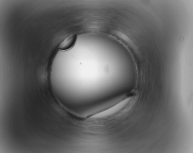 X0000089871450200707191930