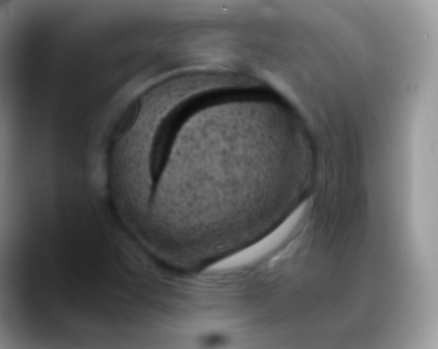 X0000089871455200707191930