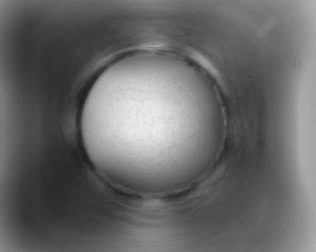 X0000089871456200707191930