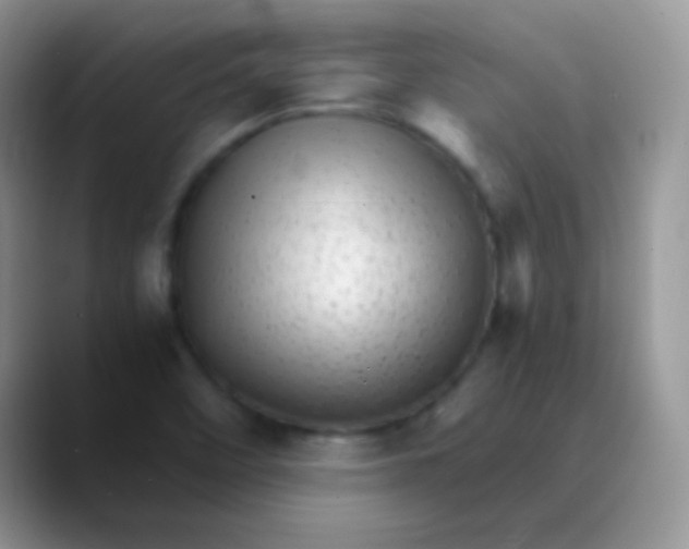 X0000089871458200707191930