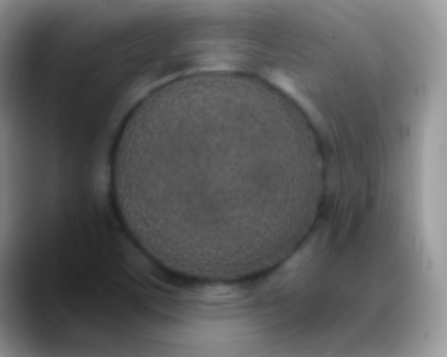 X0000089871459200707191930