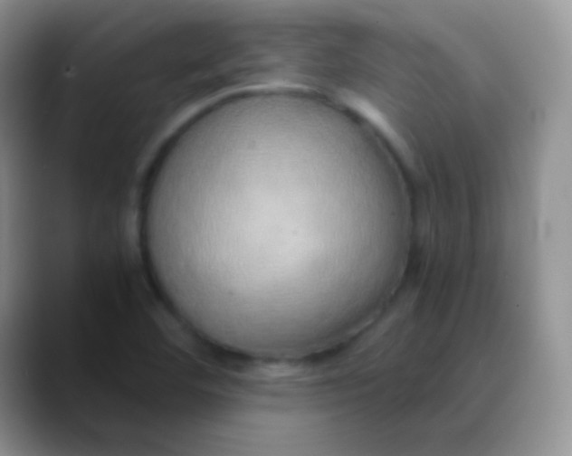 X0000089871460200707191930