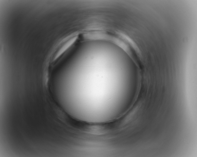 X0000089871461200707191930