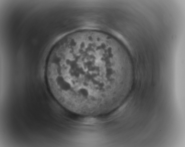 X0000089871463200707191930