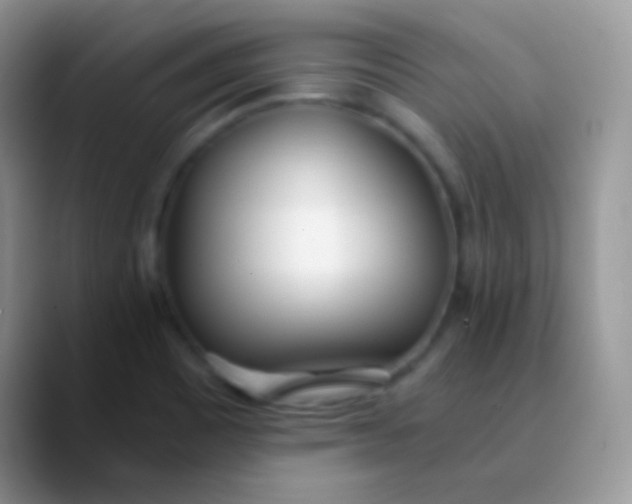 X0000089871465200707191930