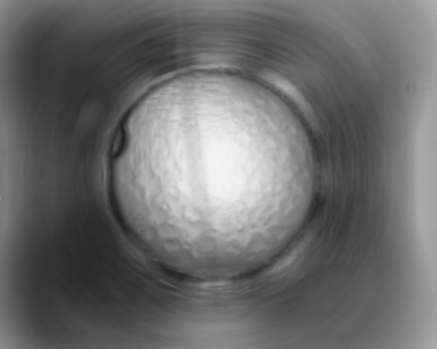 X0000089871467200707191929