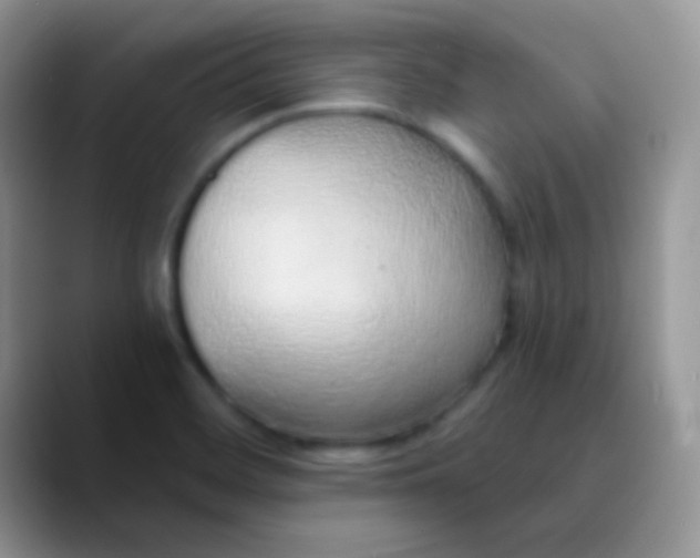 X0000089871468200707191929