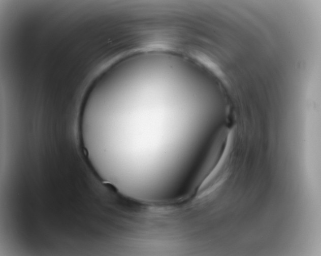 X0000089871469200707191929