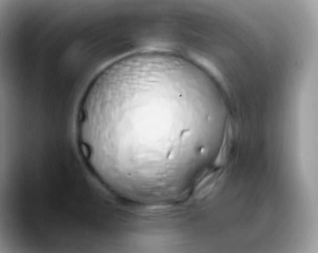 X0000089871471200707191929