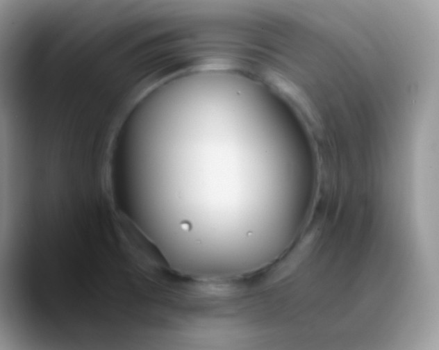 X0000089871473200707191929