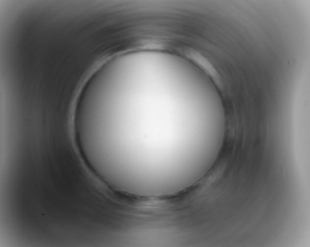 X0000089871475200707191929