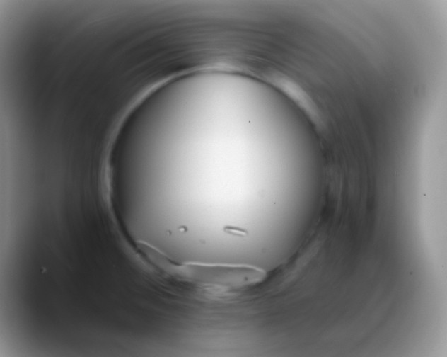 X0000089871476200707191929