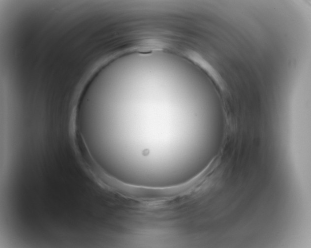 X0000089871477200707191929