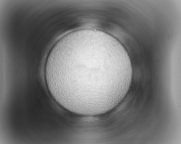 X0000089871478200707191929