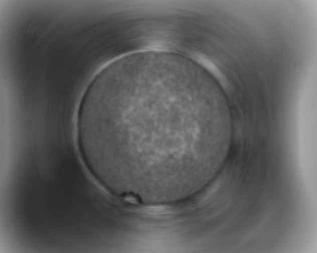 X0000089871479200707191929