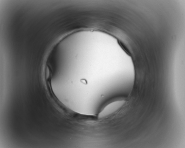 X0000089871480200707191929