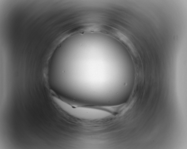 X0000089871481200707191929