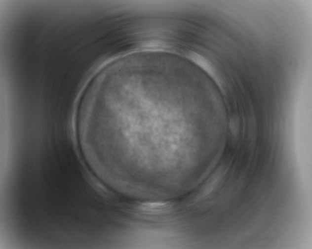 X0000089871482200707191929