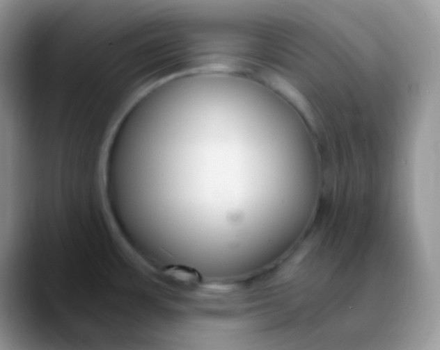 X0000089871483200707191929