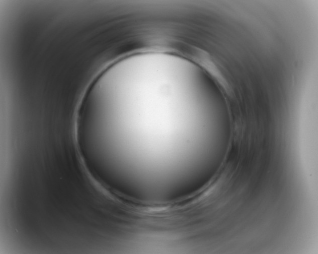 X0000089871484200707191929