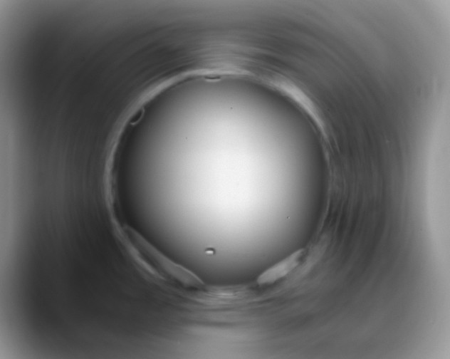 X0000089871485200707191929