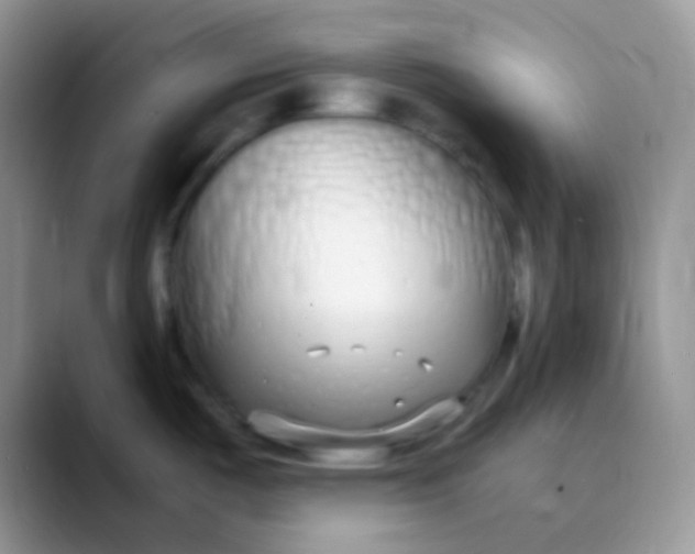 X0000089871487200707191929