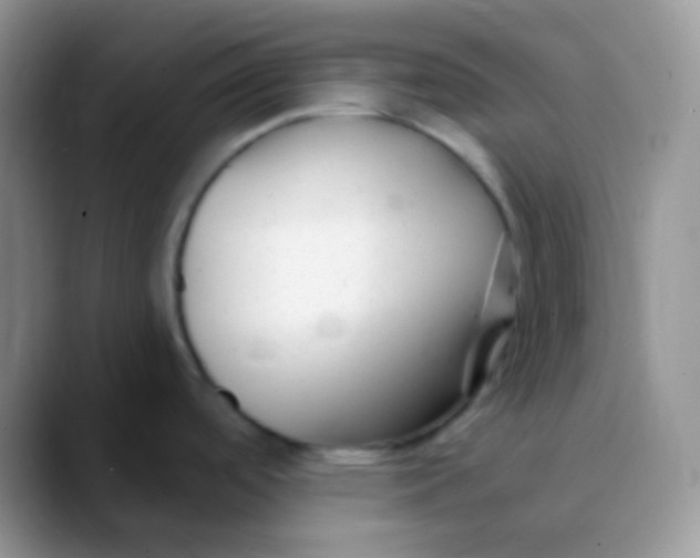 X0000089871488200707191929