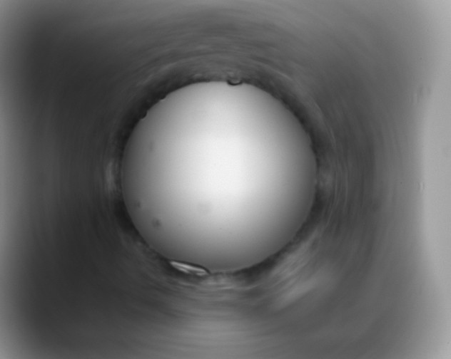 X0000089871490200707191929