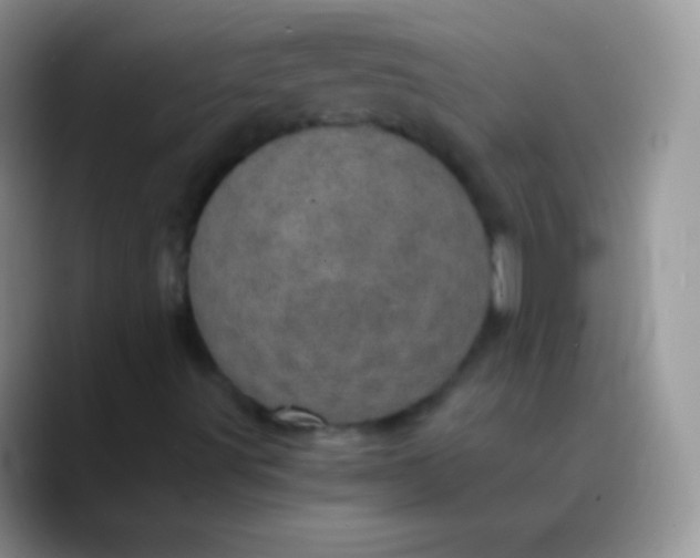 X0000089871491200707191929