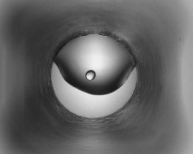 X0000089871492200707191929