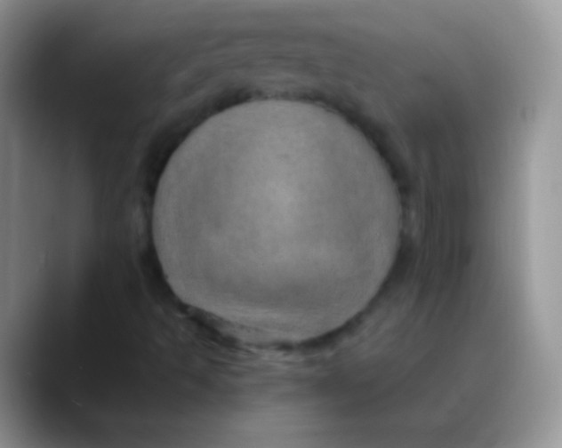 X0000089871493200707191929