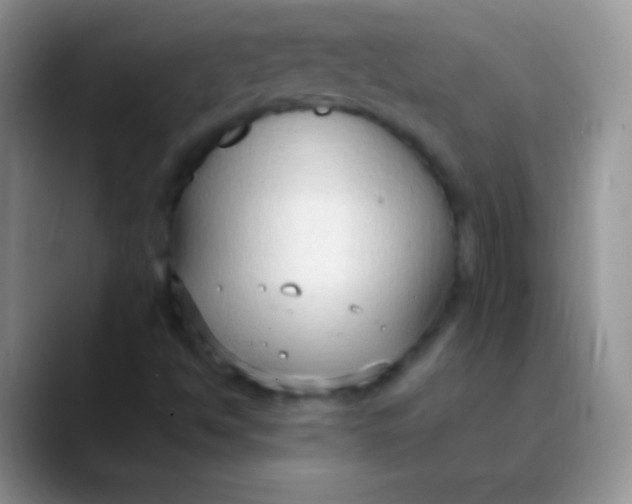 X0000089871494200707191929