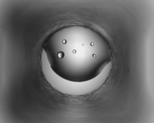 X0000089871496200707191929