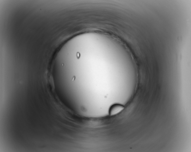 X0000089871497200707191929