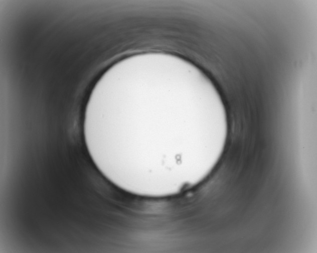 X0000089871498200707191929